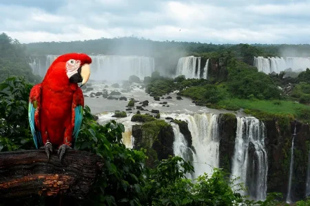 Cataratas Argentinas y Brasileñas